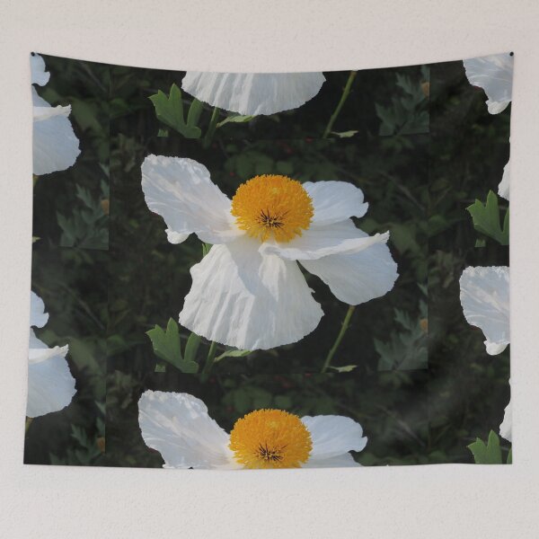 Item preview,  Tree  Poppy - Romneya coulteri  designed and sold by lezvee.