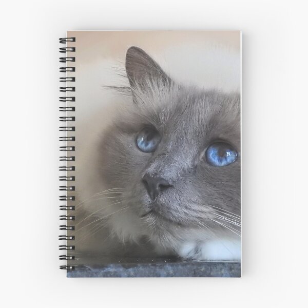 Item preview, The Cat who had the Cream designed and sold by Angela Watts.