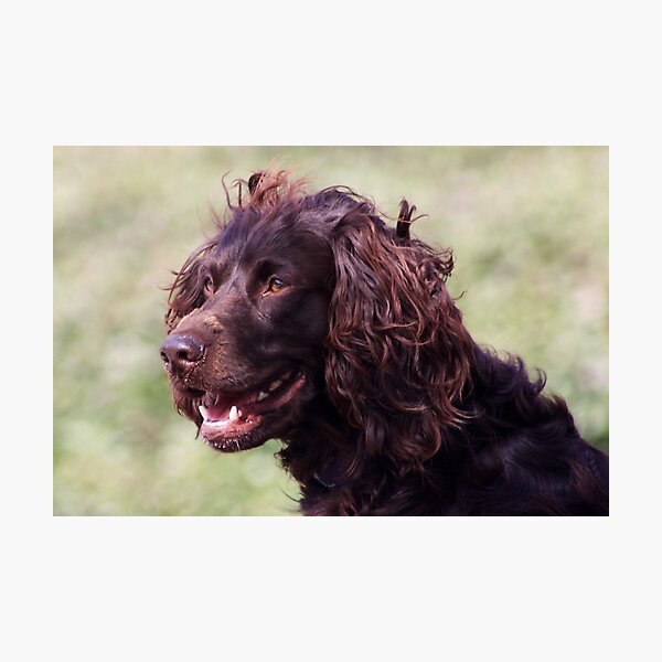 Artikelvorschau, Mans Best Friend entworfen und verkauft von Paulette1021.