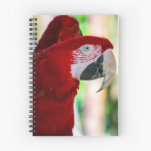 Artikelvorschau, Red Komm zu mir, Bro Macaw entworfen und verkauft von bittervictory.