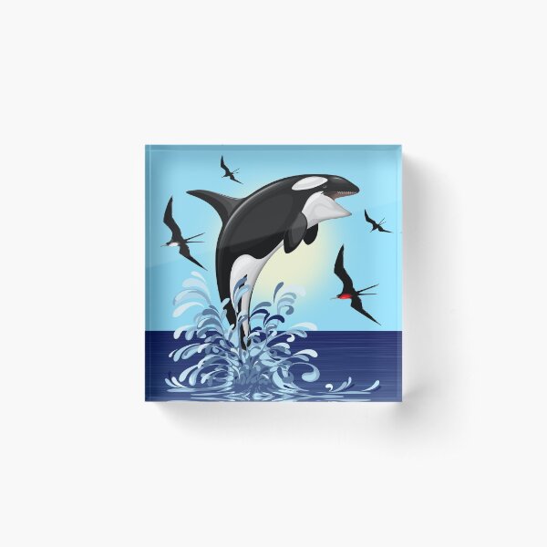 Orca Killer Whale jumping out the Ocean Acrylic Block