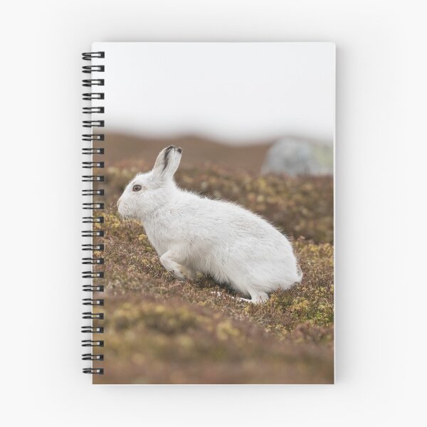 Item preview, white mountain hares designed and sold by chanonry.