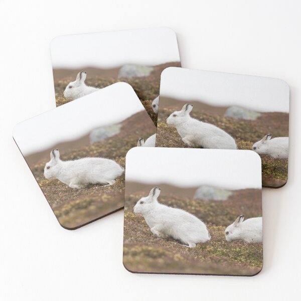 Item preview, white mountain hares designed and sold by chanonry.