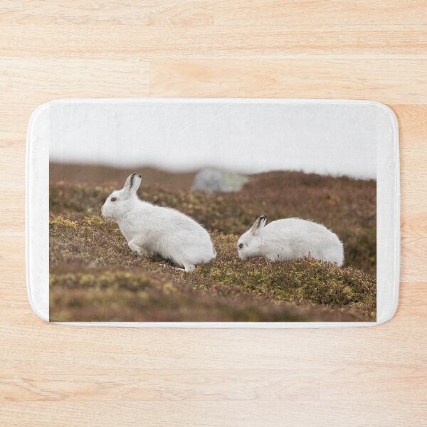 Item preview, white mountain hares designed and sold by chanonry.