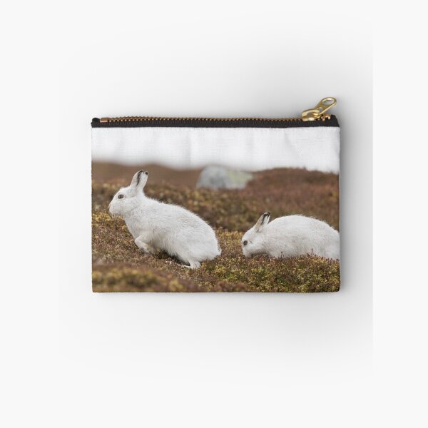 Item preview, white mountain hares designed and sold by chanonry.