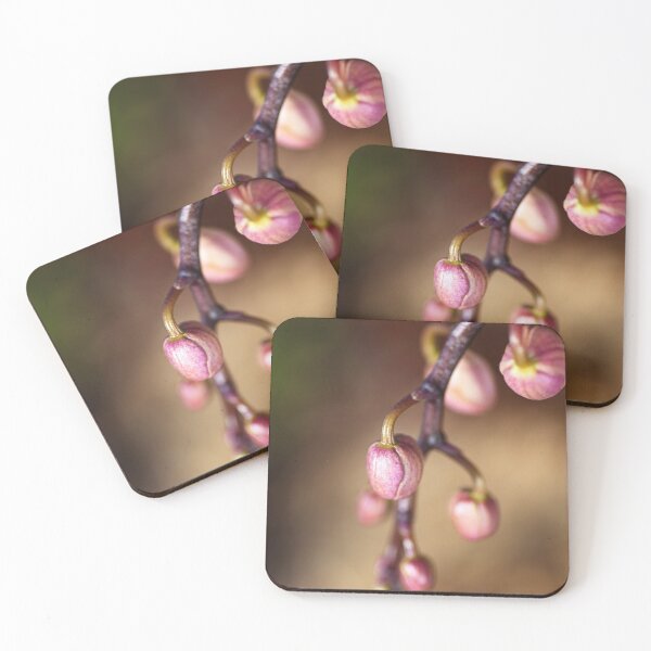 Item preview, Orchid Buds designed and sold by Joy Watson - Natural Light Photography .