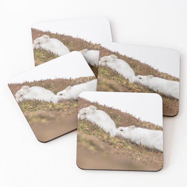 Item preview, Copy of white mountain hares designed and sold by chanonry.