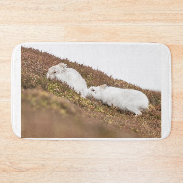 Item preview, Copy of white mountain hares designed and sold by chanonry.