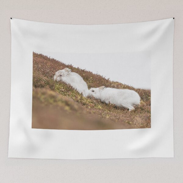 Item preview, Copy of white mountain hares designed and sold by chanonry.