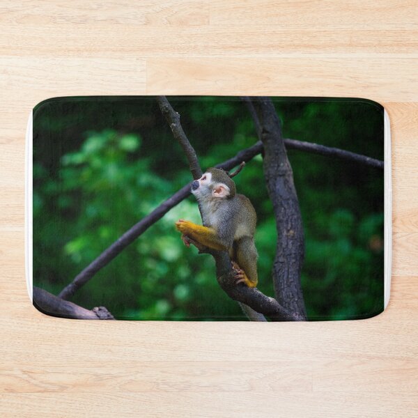 Item preview, Baby Squirrel Monkey Looking Up designed and sold by bittervictory.