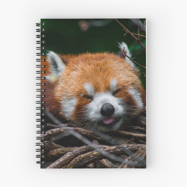 Artikelvorschau, Roter Panda Blep entworfen und verkauft von bittervictory.