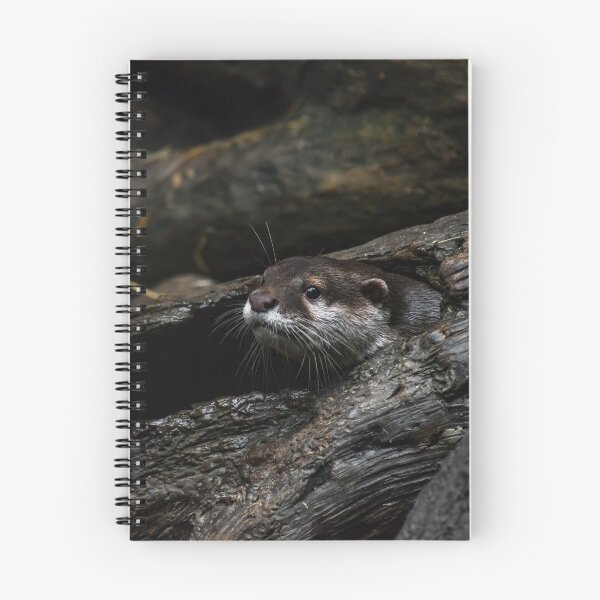 Artikelvorschau, Otter in einem Protokoll entworfen und verkauft von bittervictory.