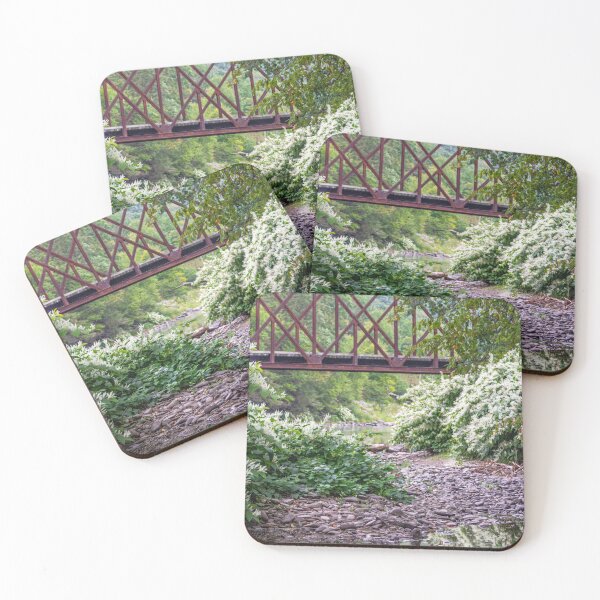 Item preview, Train Bridge over the Beaverkill River designed and sold by ShootFirstNYC.