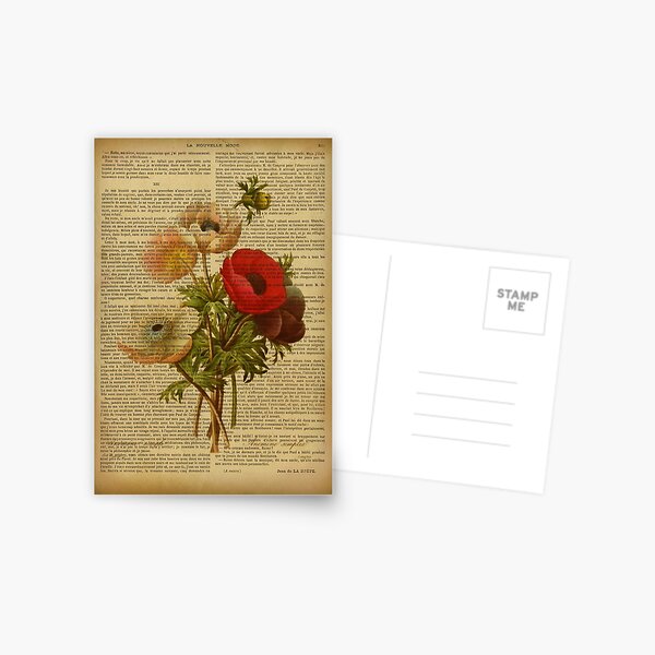 Botanical print, on old book page - poppies Postcard