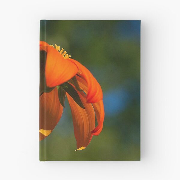 Item preview, Mexican Sunflower designed and sold by Brenda Burnett.