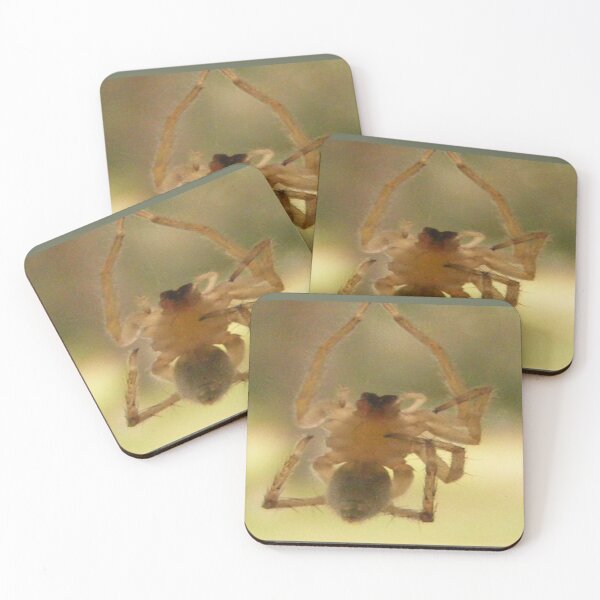 Item preview, Creepy Crawly Insect designed and sold by kristalcurt.