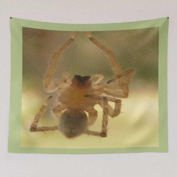 Item preview, Creepy Crawly Insect designed and sold by kristalcurt.