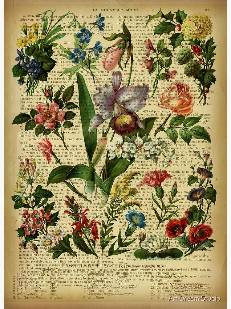 Botanical print, on old book page - Nasturtium Tapestry for Sale