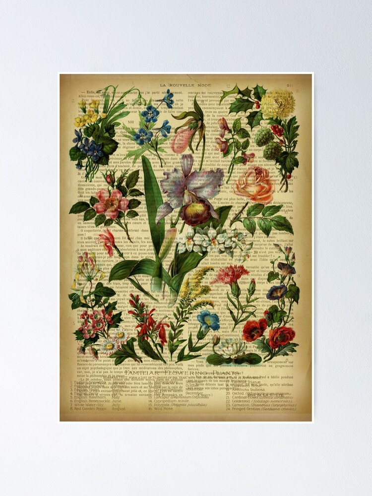 Botanical print, on old book page - garden flowers Tapestry for Sale by  Art Dream Studio