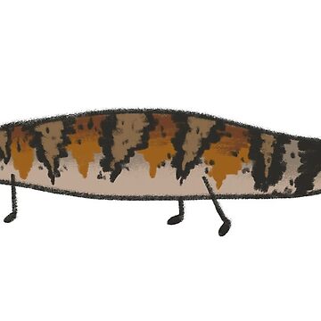 Artwork thumbnail, blue tongue skink by howlbunga