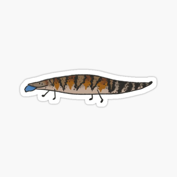Item preview, blue tongue skink designed and sold by howlbunga.