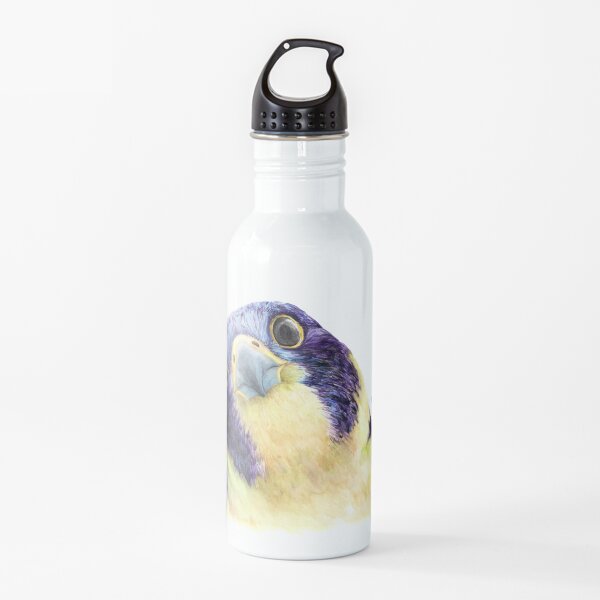 Colorido halcón peregrino en acuarela Botella de agua