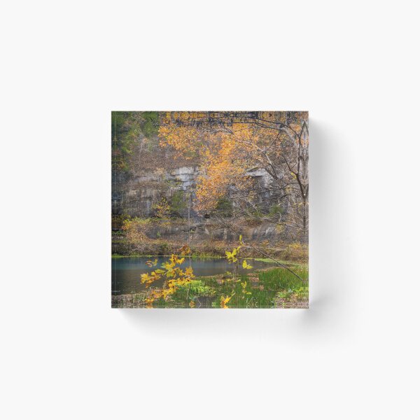 Item preview, Autumn View Alley Spring designed and sold by mljdwhite.