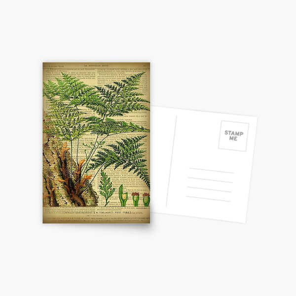 Item preview, Botanical print, on old book page - Fern designed and sold by Art by Lilia.