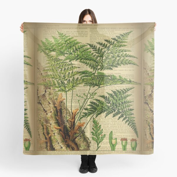 Botanical print, on old book page - Fern Scarf