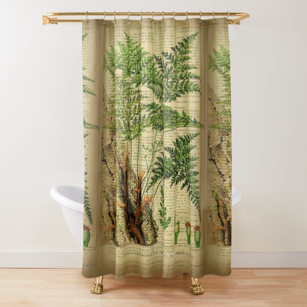 Botanical print, on old book page - Fern Shower Curtain