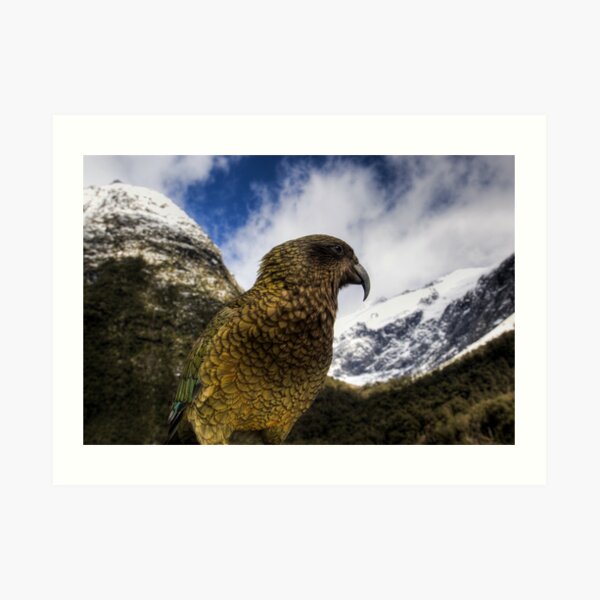 Cheeky Art Print