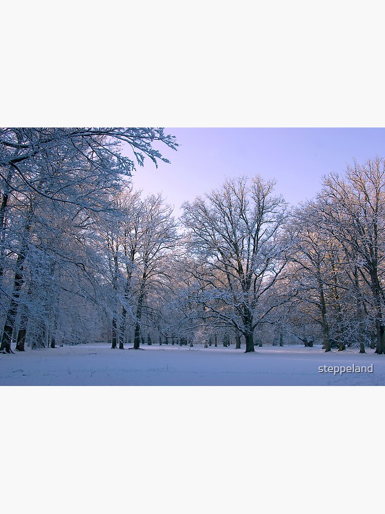 Thumbnail 2 of 2, Greeting Card, Friendly Light designed and sold by steppeland.