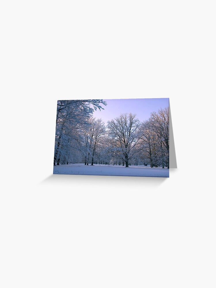 Thumbnail 1 of 2, Greeting Card, Friendly Light designed and sold by steppeland.