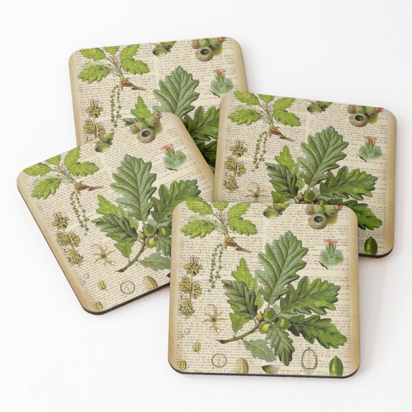 Item preview, Botanical print, on old book page - Oak designed and sold by Art by Lilia.
