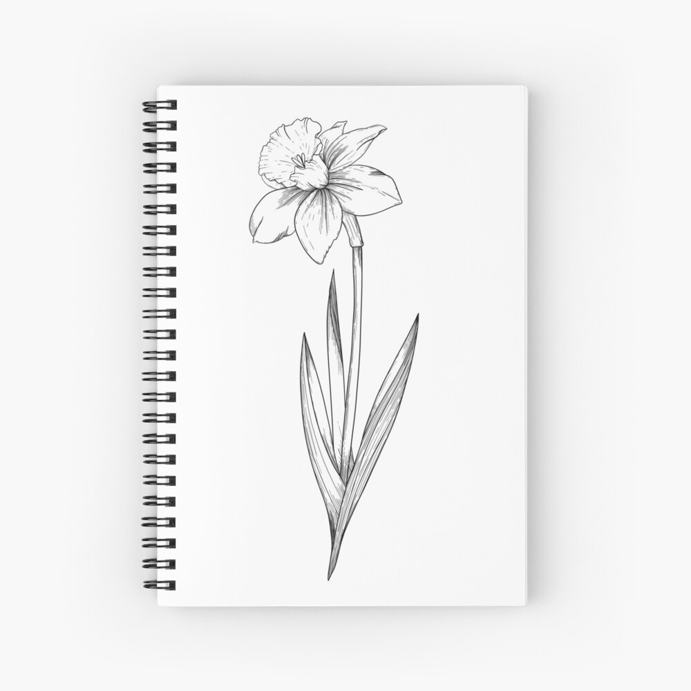 Yellow daffodil flower drawing isolated on white background. Watercolor,  hand drawn style, ai generation 24346709 Stock Photo at Vecteezy