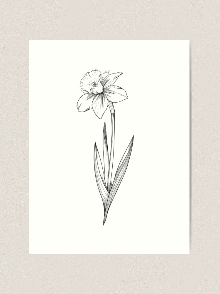 Minimal Daffodil Flower Painting (8) by C4Dart on DeviantArt