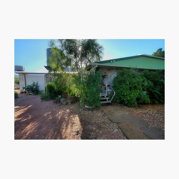 Item preview, Rodney Downs Homestead designed and sold by Barbara Harris.