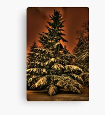 Eye of the snowstorm Canvas Print