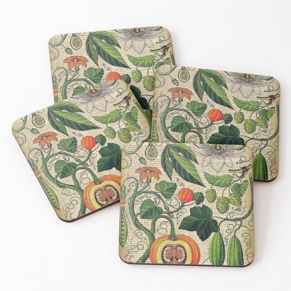 Item preview, Botanical print, on old book page - garden vegetables, pumpkin designed and sold by Art by Lilia.