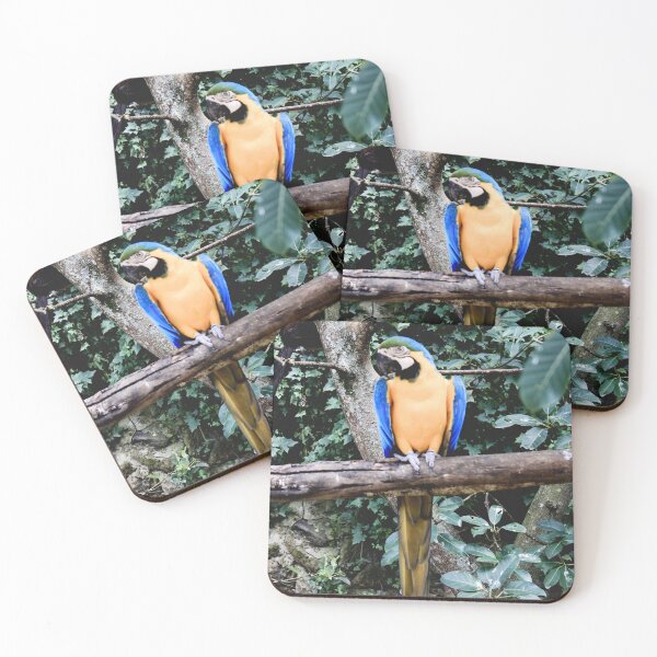 Item preview, canning macaw - arara amarela designed and sold by MendesMay.