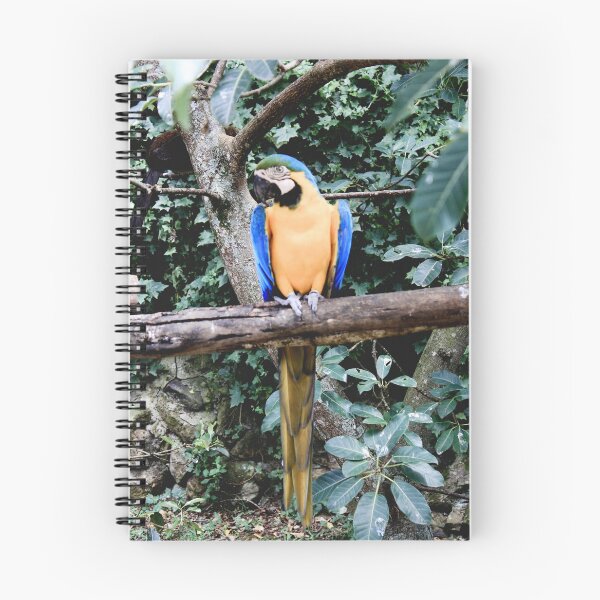 Item preview, canning macaw - arara amarela designed and sold by MendesMay.