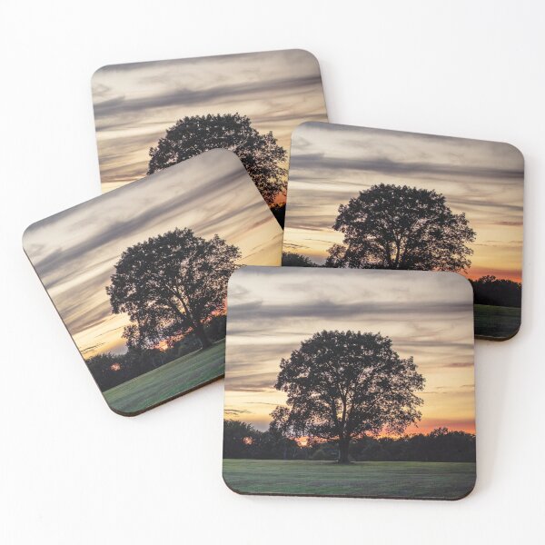 Item preview, Silhouettes designed and sold by Flexmaster.