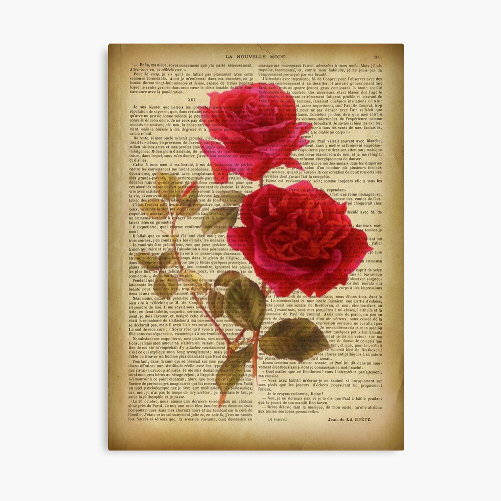 Botanical print, on old book page - Roses