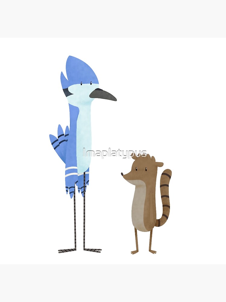 "Regular Bird and Raccoon" Poster by Imaplatypus Redbubble