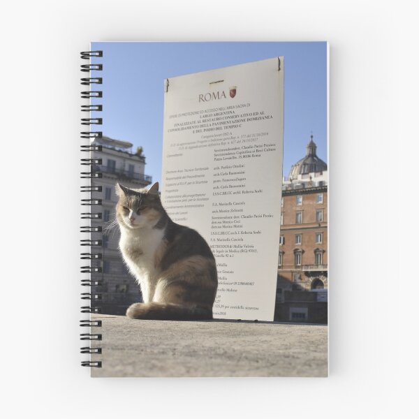 Aperçu de l'œuvre Kitty à Rome créée et vendue par MattySpicer.