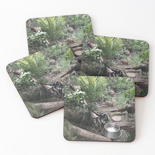 Item preview, I took great care of them . . . .  designed and sold by evon ski.