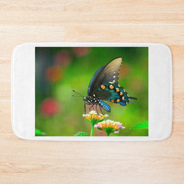 Item preview, Butterfly Loves Color designed and sold by Brenda Burnett.