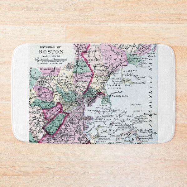 Item preview, 1875 Map of Boston and Environs designed and sold by historicimage.