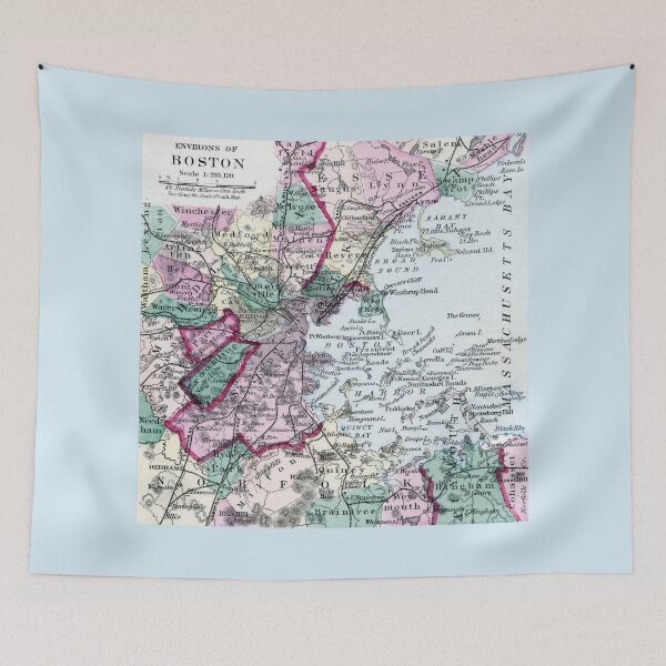 Item preview, 1875 Map of Boston and Environs designed and sold by historicimage.