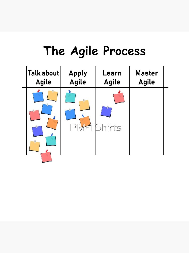 Agile Process AOE project process management by PM-TShirts